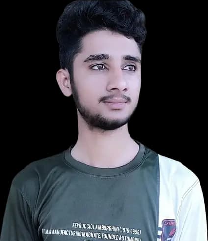 Muhammad Ali Sanwal, Full Stack Developer Profile Picture.